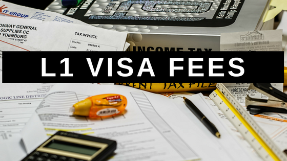 Visa fees